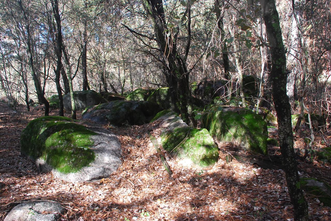 Sierra Trails Inn Mariposa Kültér fotó