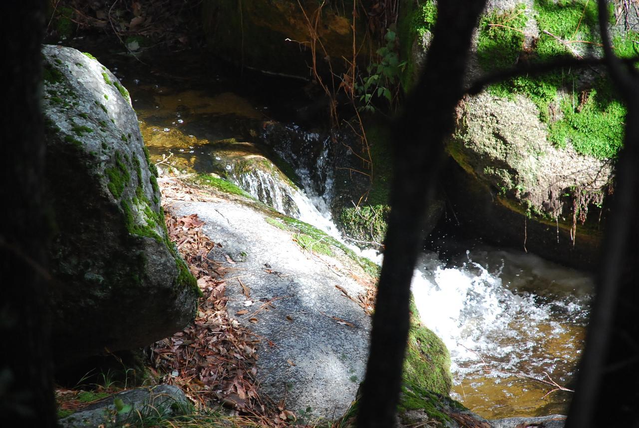 Sierra Trails Inn Mariposa Kültér fotó